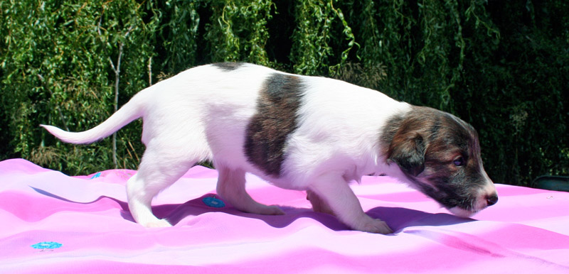 Surf Spots - Girl 1 Explore